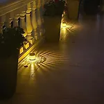 Vista Alegria *